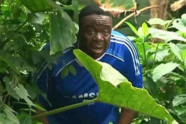 john322226's tweet photo. Chelsea fans after the match against sunderland. https://t.co/P61TtI3FU0