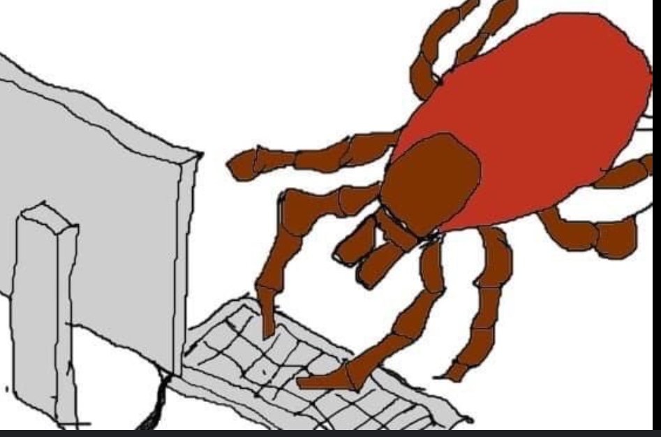 Waldhüterin 🍄🌿 (@waldhueterin) on Twitter photo 