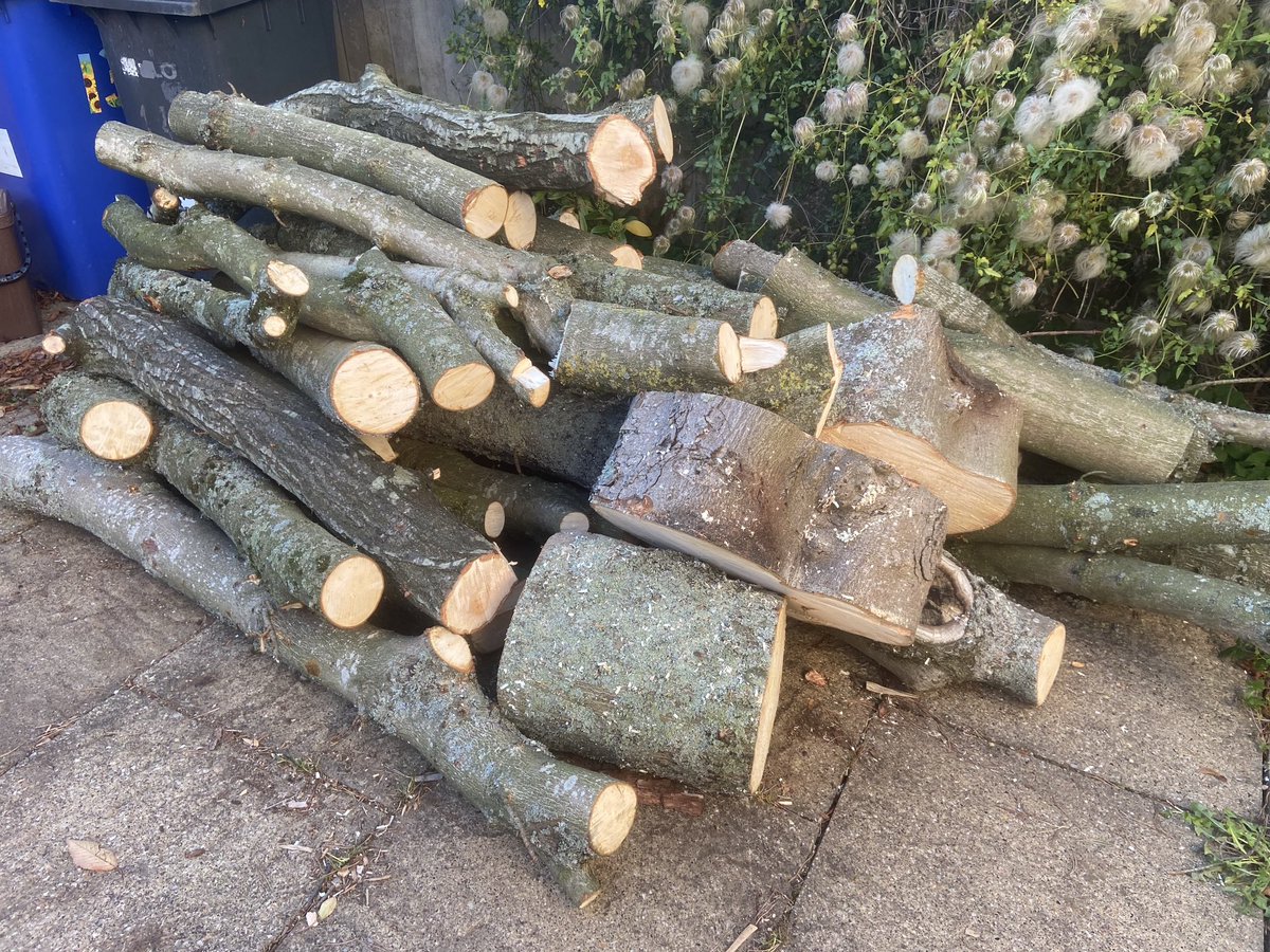 Blagged this wood today which was destined for the tip after neighbour had tree cut down. Brilliant! There must be at least 150 quids worth of logs here when cut up. Thank you from a now cosy pensioner without #winterfuelallowance