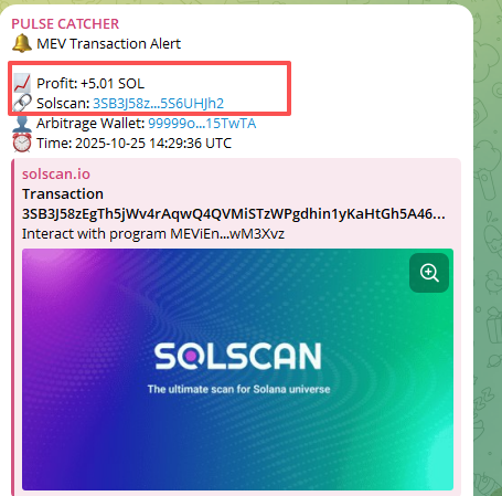 PULSE_Mev_Bot's tweet image. Daily Profit.
#Solana #Web3 #PULSE #Arbitrage #Crypto