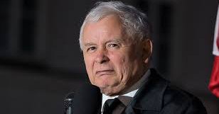 Dziś dzień kundelka. Dawać Lajki.