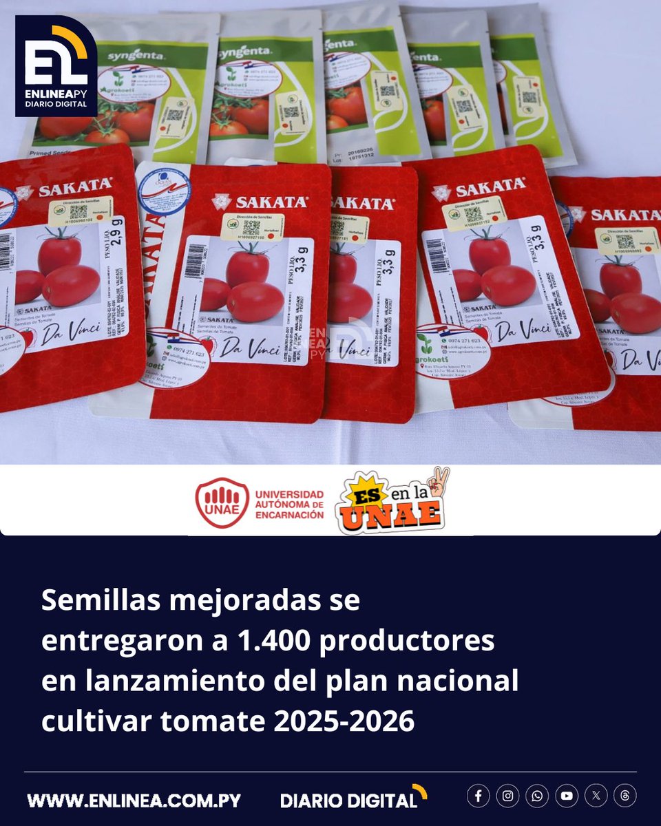 enlinea_py's tweet image. En el marco del lanzamiento del plan nacional cultivar tomate 2025-2026, el Ministerio de Agricultura y Ganadería (MAG) se benefició a más de 1400 productores tecnificados de la región Oriental, con semillas hibridas genéticamente mejoradas de la línea...
enlinea.com.py/semillas-mejor…