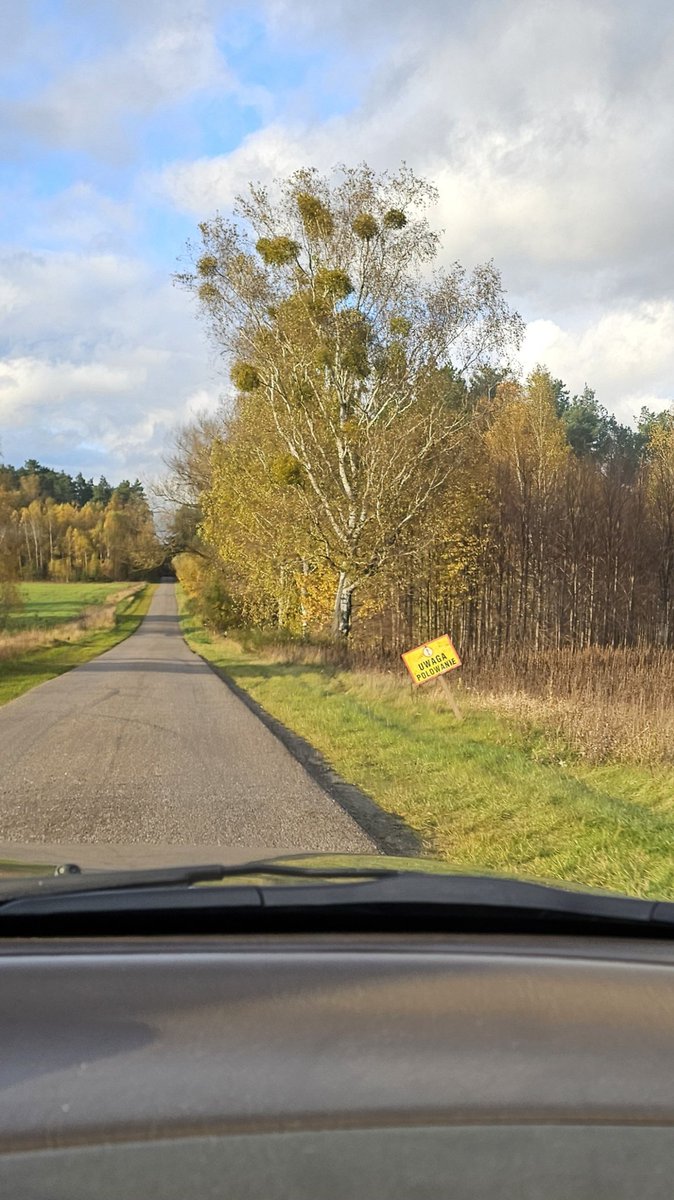 M. A. Gister tweet media