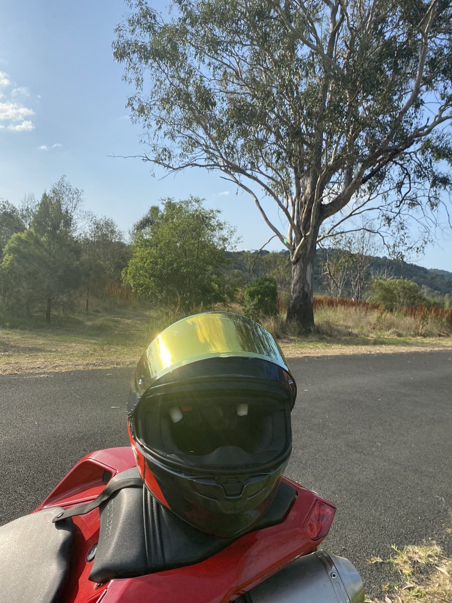 <a href="/HouseLyndseyRN/">Lyndsey, RN 💜🐭</a> <a href="/truthbealways/">TRUTHBETOLD?</a> <a href="/53v3n0fn1n3/">🕯Seven of Nine, MD 🏴‍☠️</a> <a href="/missyTHX1138/">Melissa 🐭</a> <a href="/CoyoteSanctuary/">CoyoteSanctuary🐺🐭🦝🔬 🐾🐾</a> <a href="/CumberpatchM/">Karl Childers🍟</a> <a href="/MeasslainteIRL/">Tommy Emmett III 🐺🐭🦝</a> <a href="/RayFinkle5859/">RayFinkle</a> <a href="/DocpalFrancesc2/">Paloma Franceschi</a> <a href="/Bork10Bork/">huntergathererstacey</a> <a href="/MACottingham/">🍁Mike Cottingham🍁 Powered by: 🐭 🧙‍♂️🙏🕯️</a> <a href="/WildKraken1/">Extreme MAGA P01135809</a> <a href="/supertodd1/">GrinerATodd 🐭</a> <a href="/sonstwoher/">waspdealer</a> <a href="/DerSchwubler/">𝕯𝖊𝖗𝕾𝖈𝖍𝖜𝖚𝖇𝖑𝖊𝖗 🐭 m1ψ</a> <a href="/hkakeya/">Hideki Kakeya, Dr.Eng.</a> <a href="/CanningPharm/">MariaGutschi✝️📿💊👵🦠</a> <a href="/KatherineG50923/">Katherine Green</a> <a href="/KerryOLeary4/">Kerry O RN.MBA 🐭</a> <a href="/cDNAClone666/">Jason</a> <a href="/Elysian70833145/">ElysianFields 🐭 🦝 🐺 (Mick Simmons)</a> <a href="/Nicolina0815/">Nicolina 🐭</a> <a href="/mike71715365973/">mike</a> <a href="/CherylMcDragon/">Dragonsfire🐭</a> <a href="/mrshhjones/">Hero Dog❌🟣🐭</a> <a href="/zausizauderer/">Freundlicher Provinzgrantler 🪻🤗🪻</a> <a href="/WayneShaff60221/">NorrinX777Radd</a> <a href="/FlippingTables7/">FlippingTables</a> <a href="/Groovenuts/">🎶 Groovenuts 🥜 🍄🦑</a> <a href="/Robin1TG/">Robin</a> <a href="/kpvsmom/">🐭Kottage Fox Schwurbler Z28.310</a> <a href="/VoiceDialogue_/">Finde Deine Energie.</a> <a href="/BlueGreenTeam8/">Lauren Michelle Bradley 🪶⚜</a> <a href="/herbersh/">Herb Herbers</a> <a href="/riochambira/">Michael</a> <a href="/max_ev_84/">T-MaX84</a> <a href="/CindyBublik/">Cindy Bublik</a> <a href="/GHerman527/">Purplebutterfly</a> <a href="/Pinzie/">Matt 🐭</a> <a href="/Alletwiederjut/">Suchend 💜…🐭 LNPs are nightmare, esp. with modRNA</a> <a href="/Nuni_Sas_Yu/">nuni sas yu</a> <a href="/w_s_gosset/">W.S. Gosset</a> <a href="/MrsNicholasG/">Laurie 🐭</a> <a href="/NarfGb/">🕯NarfGB</a> <a href="/bruce_kris56597/">Kristina Bruce</a> <a href="/loofymectin/">Loofymectin aka Jan Masleid</a> <a href="/oldsmokindragon/">Truthfanboi</a> Well we are in the midst of a Toba volcanic eruption like event of sorts so it is important to be at your best.

When replying if you don’t want Grok just deselect?

So <a href="/Alletwiederjut/">Suchend 💜…🐭 LNPs are nightmare, esp. with modRNA</a> can undo block spells…magic!

<a href="/HouseLyndseyRN/">Lyndsey, RN 💜🐭</a> glows

<a href="/53v3n0fn1n3/">🕯Seven of Nine, MD 🏴‍☠️</a> is a boss and is possibly an