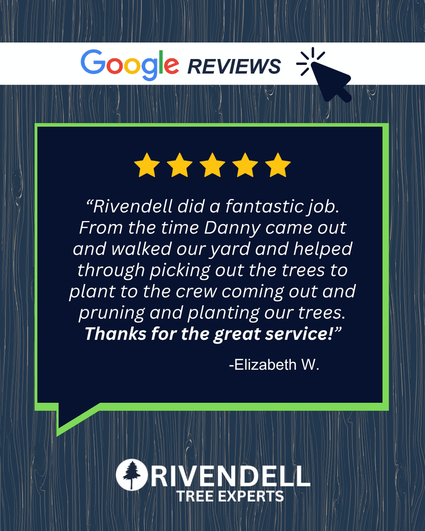 Rivendelltree's tweet image. We love helping homeowners create beautiful, healthy landscapes — start to finish! 🌿✨

📞 801-928-4566
🌐 rivendelltreeexperts.com

#RivendellTreeExperts #CustomerReview #UtahTreeCare #TreePlanting #TreePruning #HappyCustomer