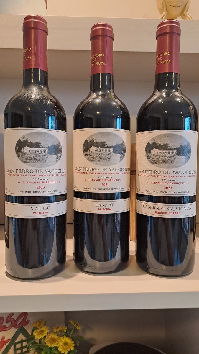 Botello - Arte en Vinos tweet media