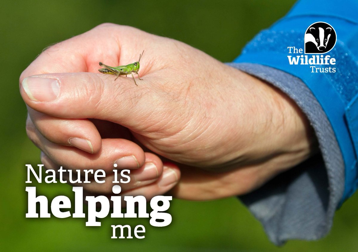 Regular contact with #nature can help boost your mental and physical well-being 💚

That’s why #socialprescribing could save the NHS millions! Send a postcard to your GP 👉 wildlifetrusts.org/nature-helps
