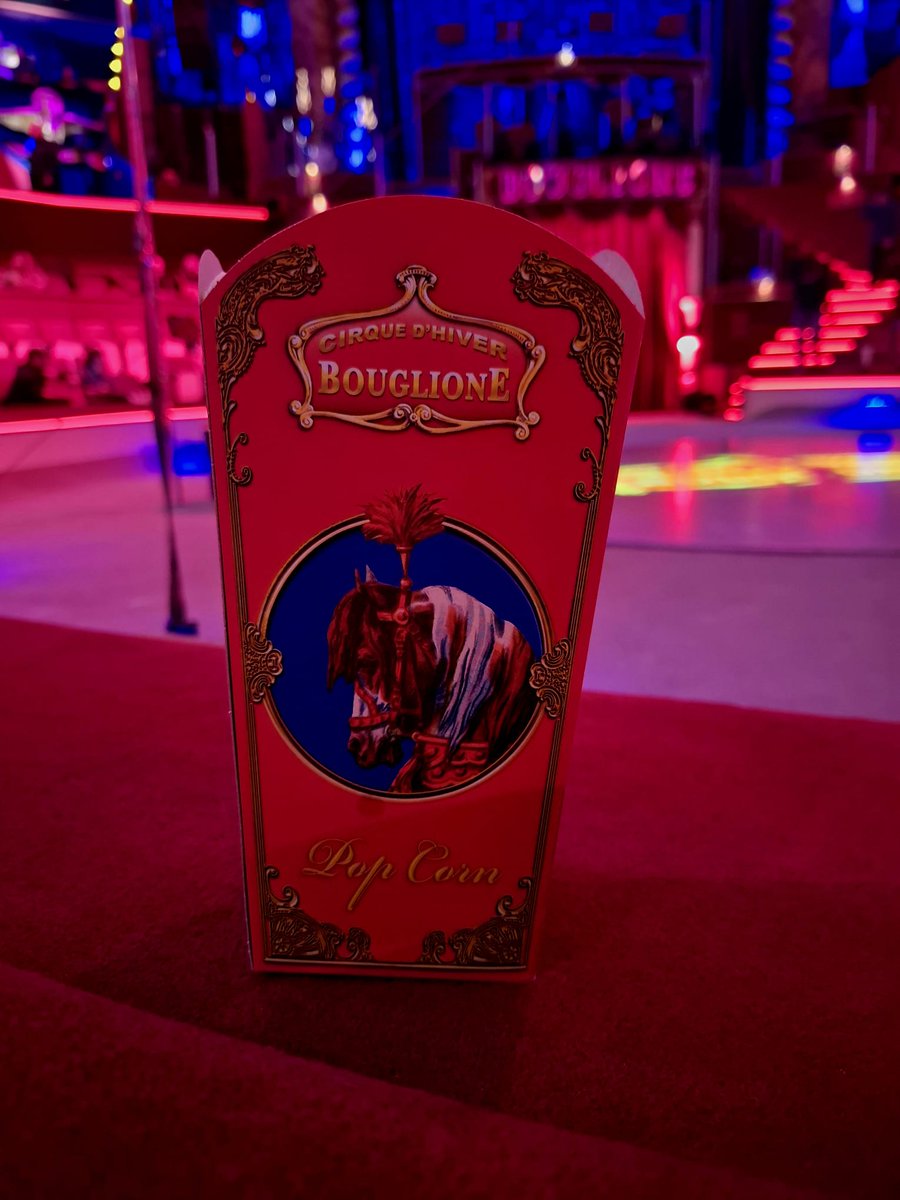 Retrouver une âme d'enfant  au #cirquedhiver  #bouglione
😃