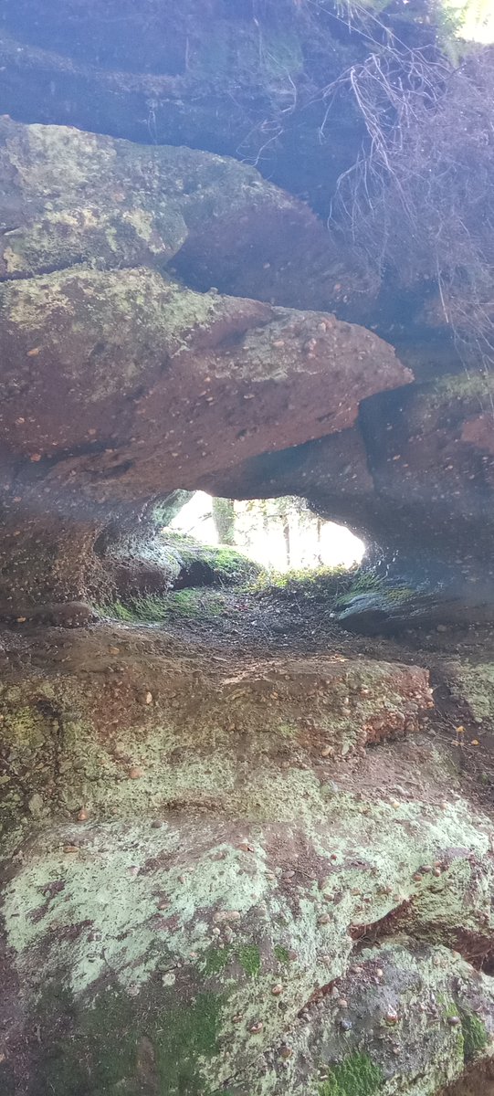 COLLIGNON ALAIN (@alano54colli) on Twitter photo 