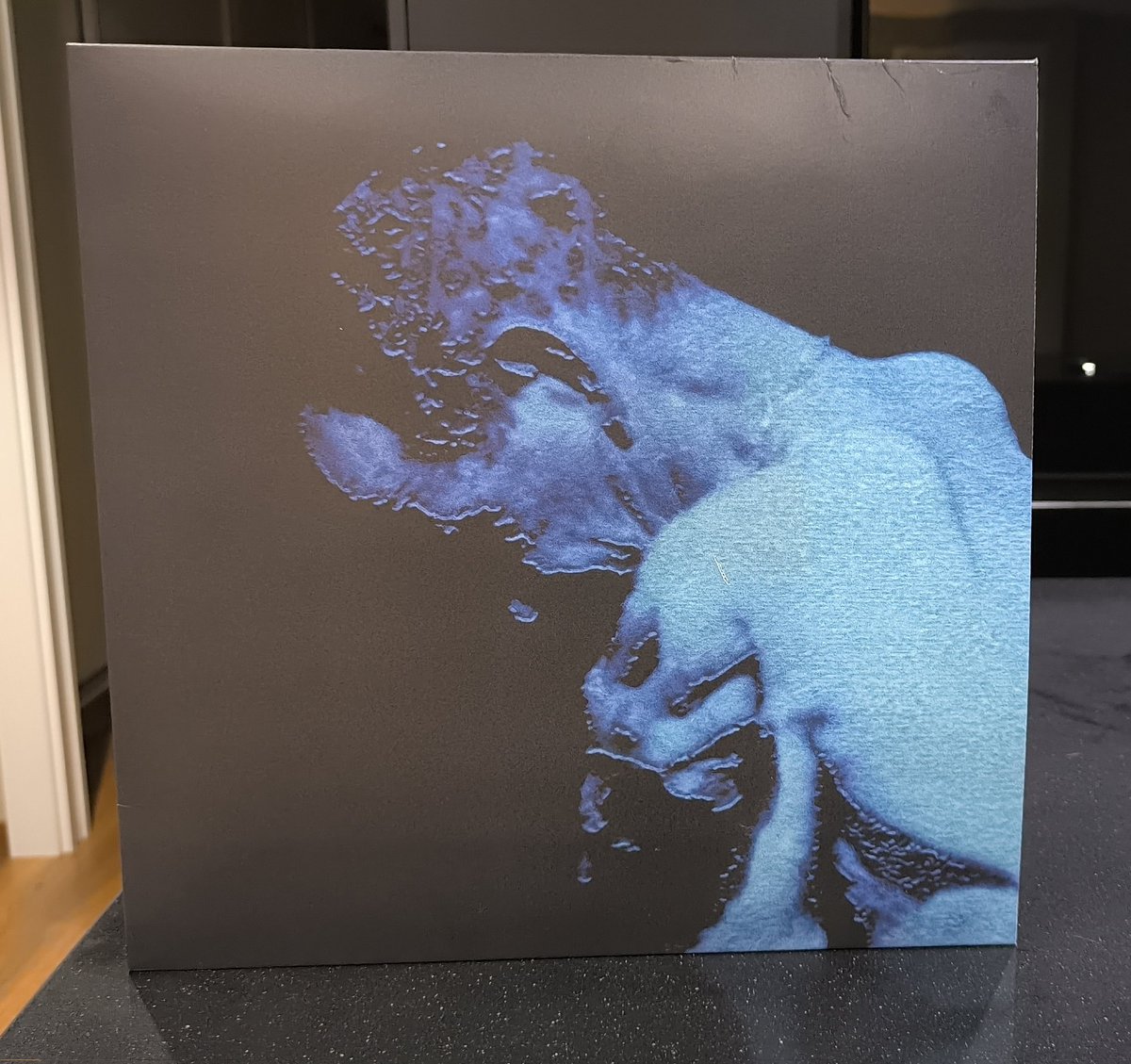 #NuevaAdquisición

- Hamlet - El Inferno (2000)

Edición vinilo negro.