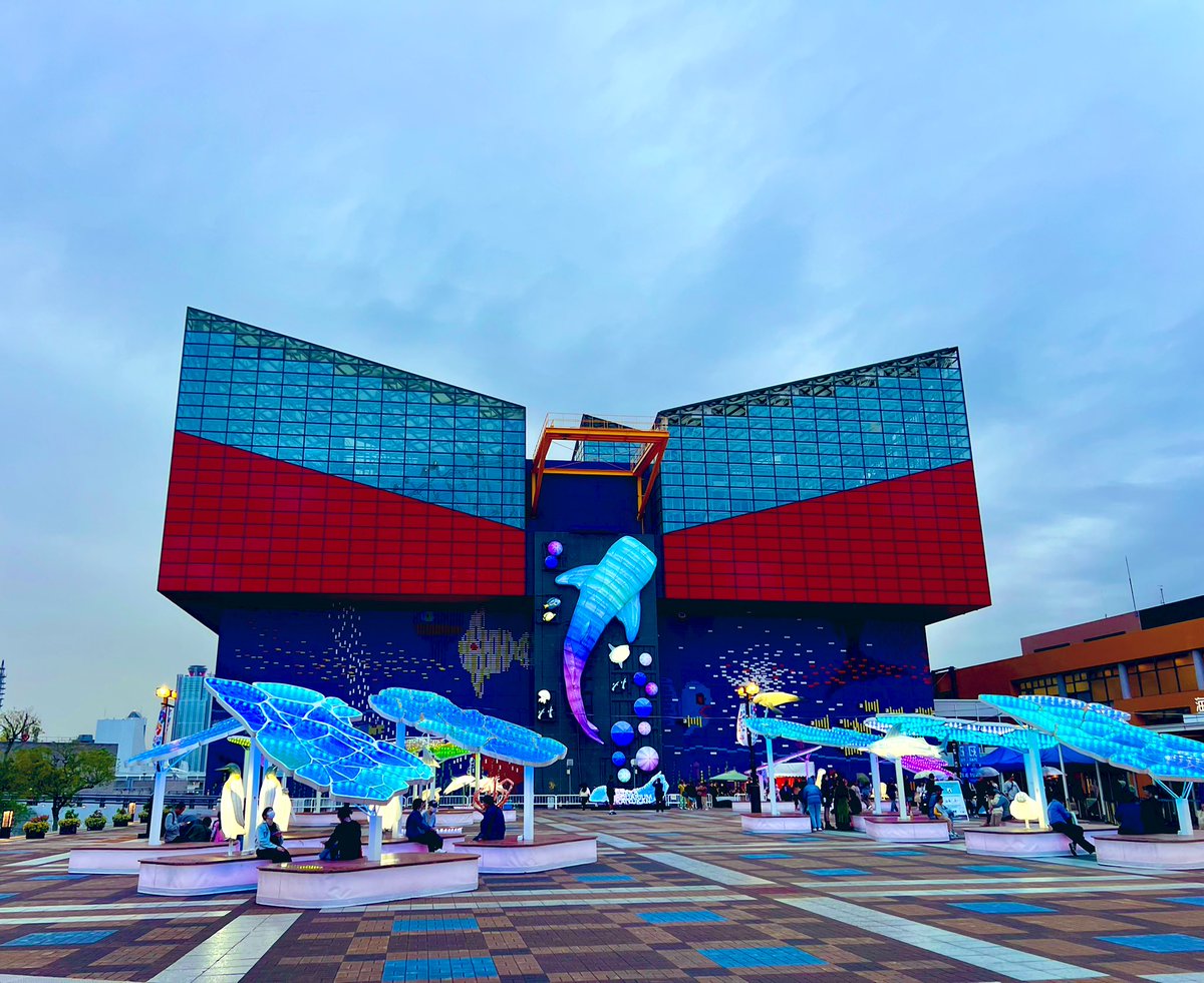 ちかぽん*ෆ (@chikapon33) / Posts / X