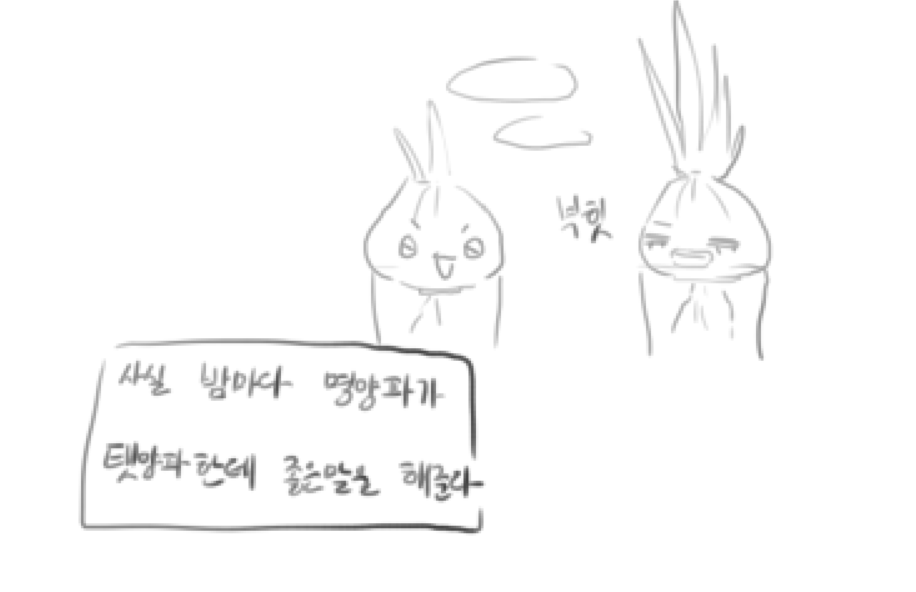 myomyo_1204's tweet photo. https://t.co/XHThVDCe5s