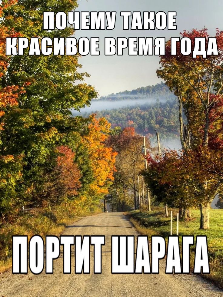 катюха. (@lebyaadkina) on Twitter photo 