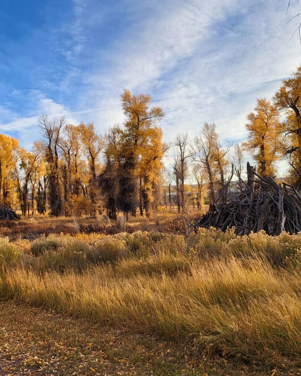Did you know that you can explore many of Wyoming's State Parks year-round?

What's your favorite State Park to visit in the fall?

📍Visit Evanston 

Photos by @therealstickstickly [IG] 

#ThatsWY #wyoming #wyolife #visittheusa