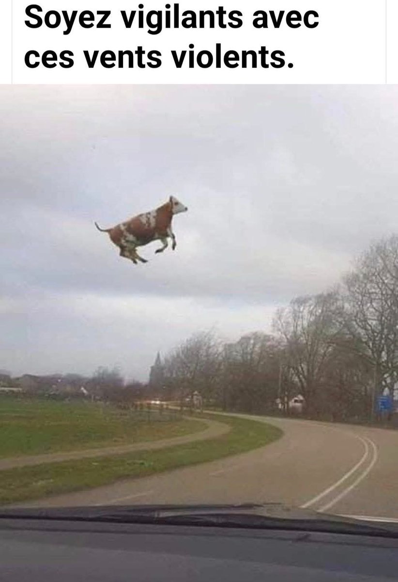 Croc Tweet (@croctweet) on Twitter photo 