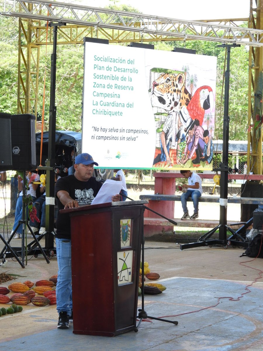 Cealdes - Centro de Alternativas al Desarrollo tweet media