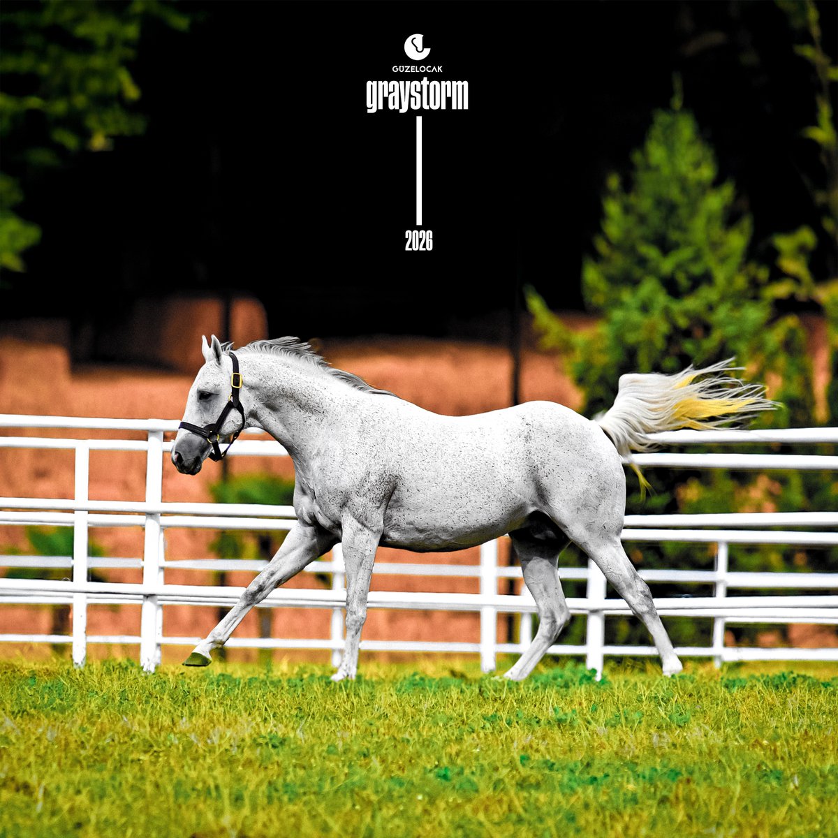 yeni sezon. #graystorm