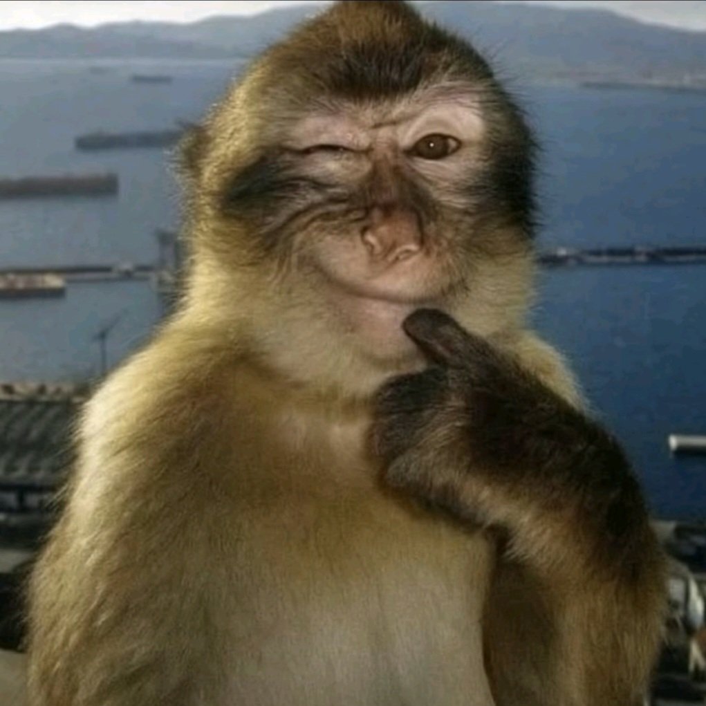 j (^з^)-☆ tweet media