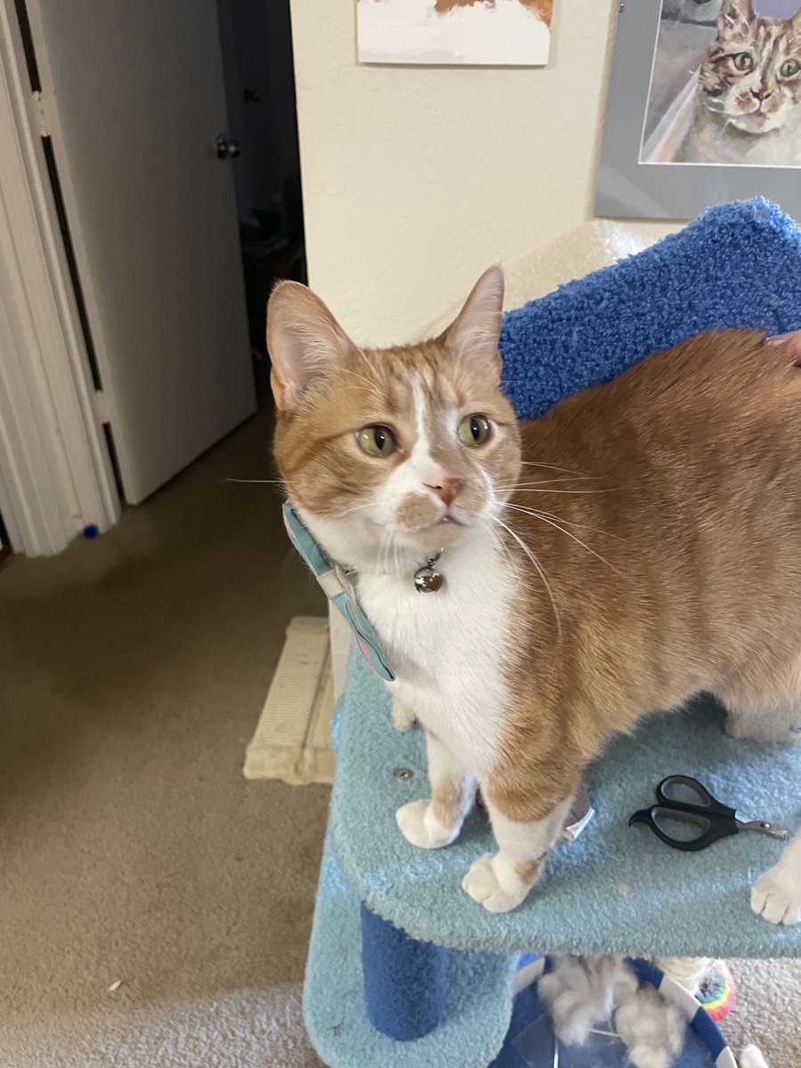 They wrote PEACE on the wall at Berghain! I refused enter