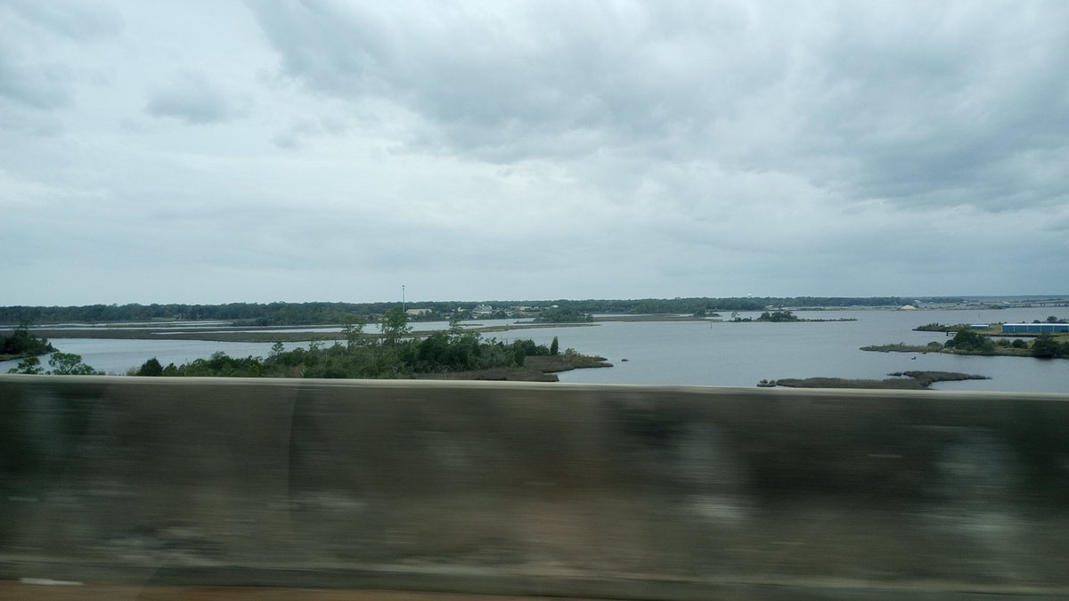 dragonconduit's tweet photo. On the way to get food https://t.co/Y5TgQTRIbi