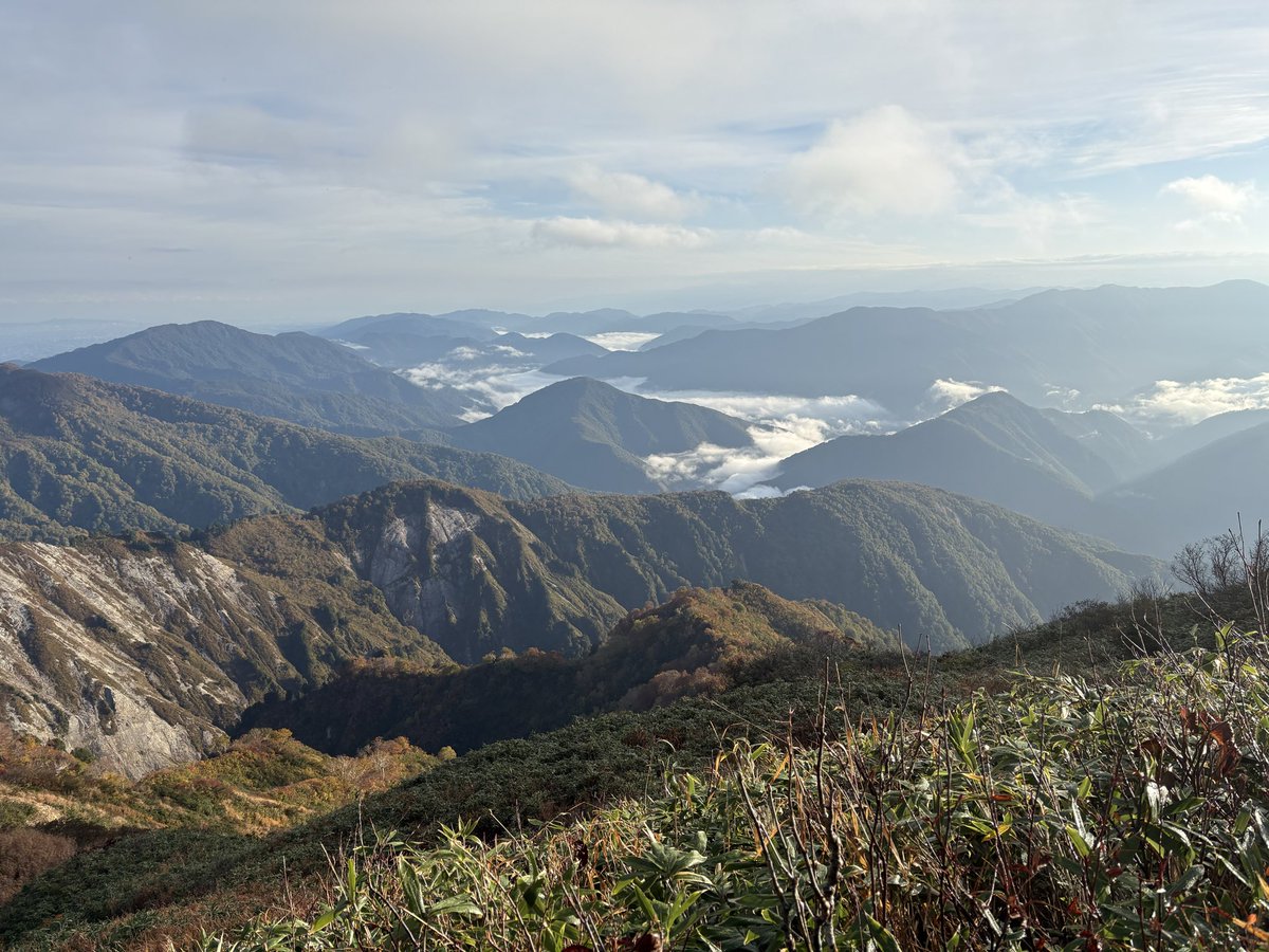 わかる人にはわかる - Search / X