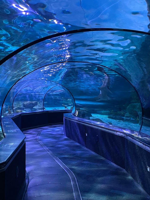 本ぼけ珊瑚　観音像　台込高さ約14.5㎝/138g 東Y7-0729⭐︎2Fトトカ 本ぼけ珊瑚 観音像 台込高さ約14.5㎝/138g 東Y7-0729