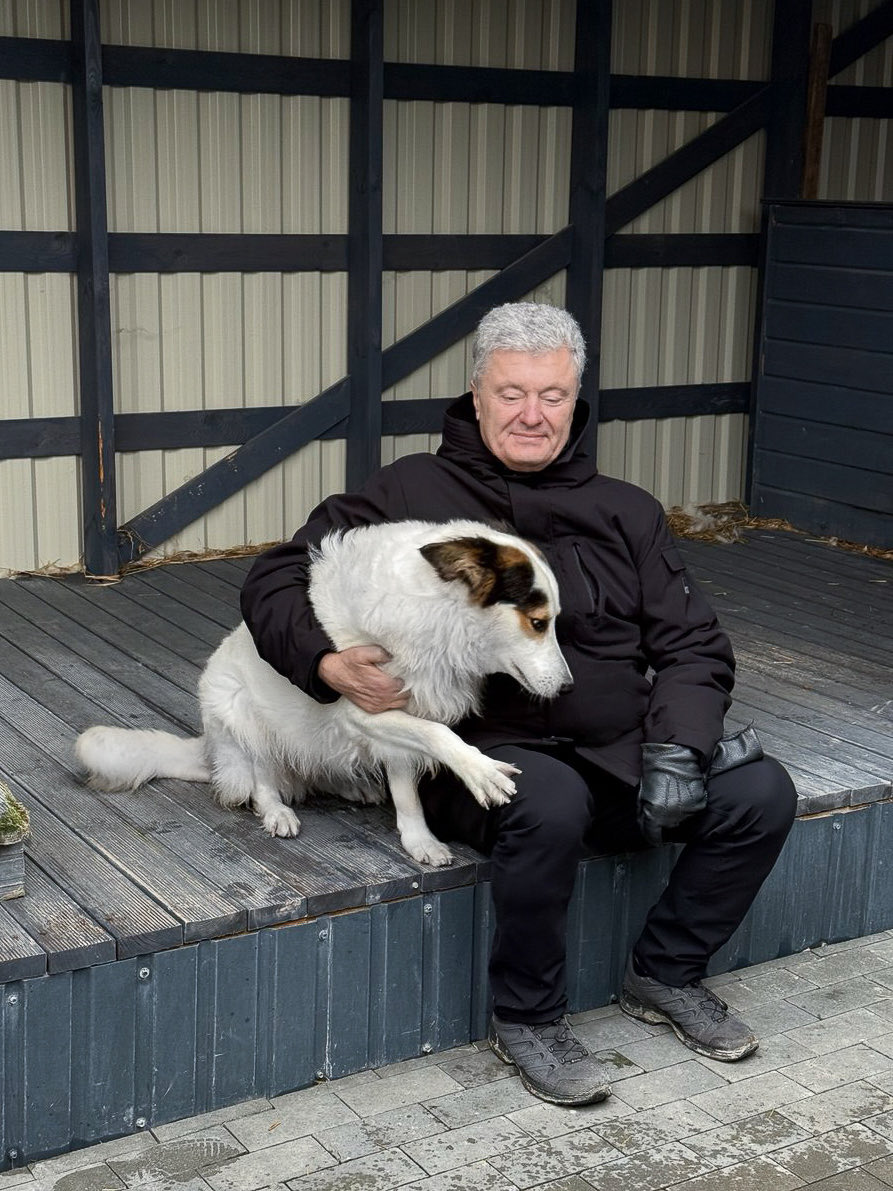 Знаю, що ви точно засумували за нашим чотирилапим Херсоном) 
Він ніколи не дає нам з Мариною сумувати — життєрадісний і непосидючий.

Із сумом згадую наше перше знайомство: загублений пес у затопленому Херсоні, що шукав нову сімʼю. 

Зараз має ясні очі, вологий ніс та неабиякий