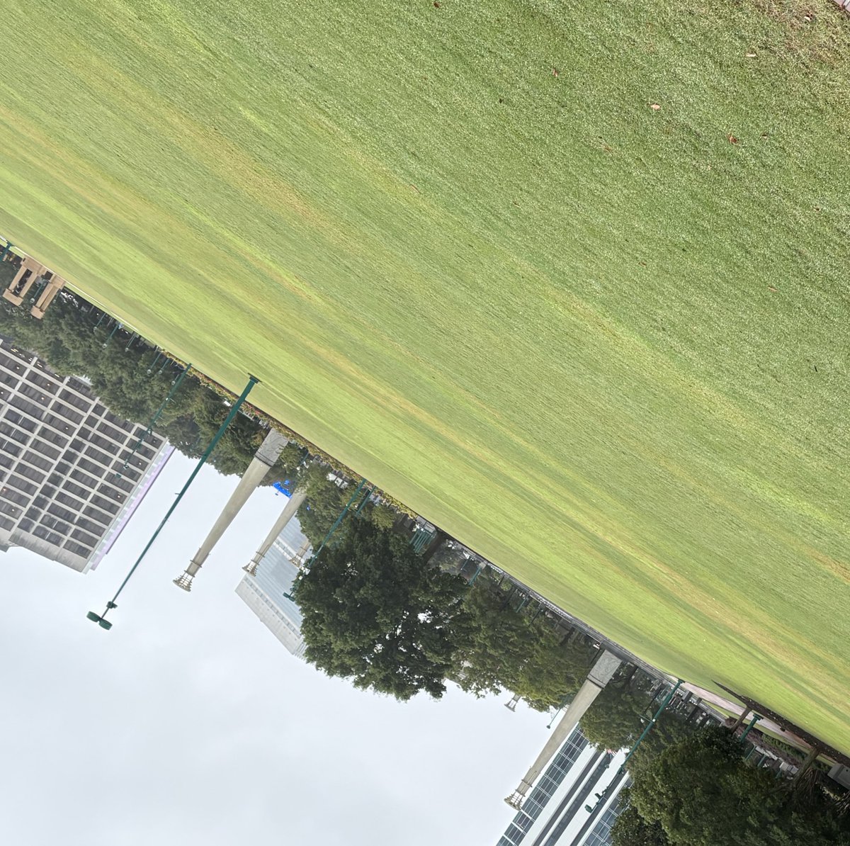 MichealrajgG's tweet image. Share something green from your gallery!

#My_Click