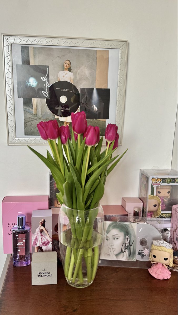 Sou fã da Ariana desde 2011, quando ela apareceu no Brilhante Vitória. Depois de sua estreia na era musical, me apaixonei completamente por tudo o que ela fazia como cantora. A Ariana é um anjo para mim, ela é tudo para mim, absolutamente tudo. ninguém neste mundo conseguiu me