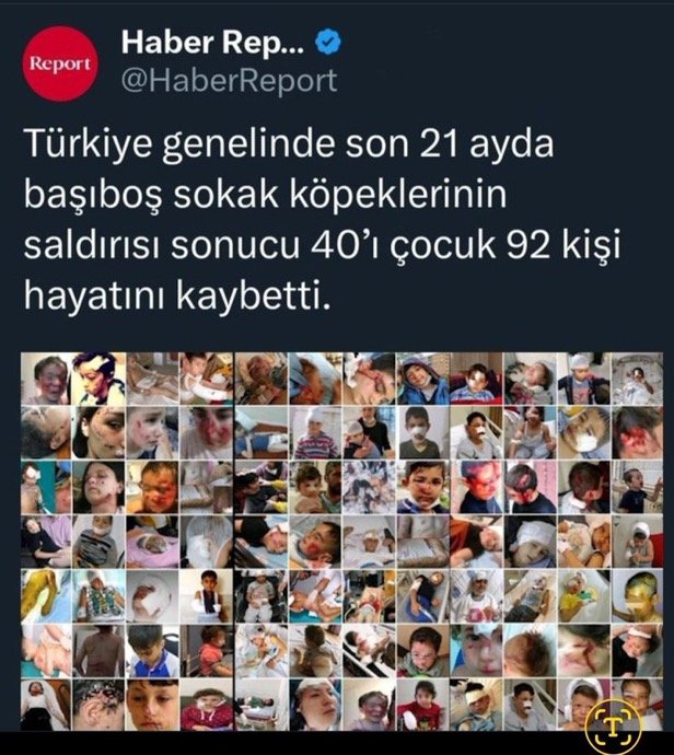 Prof.Dr. Nilüfer Sabuncuoğlu (@nilufersabuncu) on Twitter photo <a href="/AliYerlikaya/">Ali Yerlikaya</a> ... <a href="/AliYerlikaya/">Ali Yerlikaya</a> ...