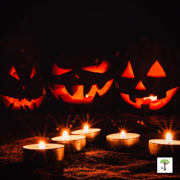 Arcanemeta_'s tweet image. It is time for $Samhain
All Halloween traditions root back to this ancient celebration 
3u2fpcnMJVxJtchpgEMouCZAaw5uwcsxuwZxcTGipump
