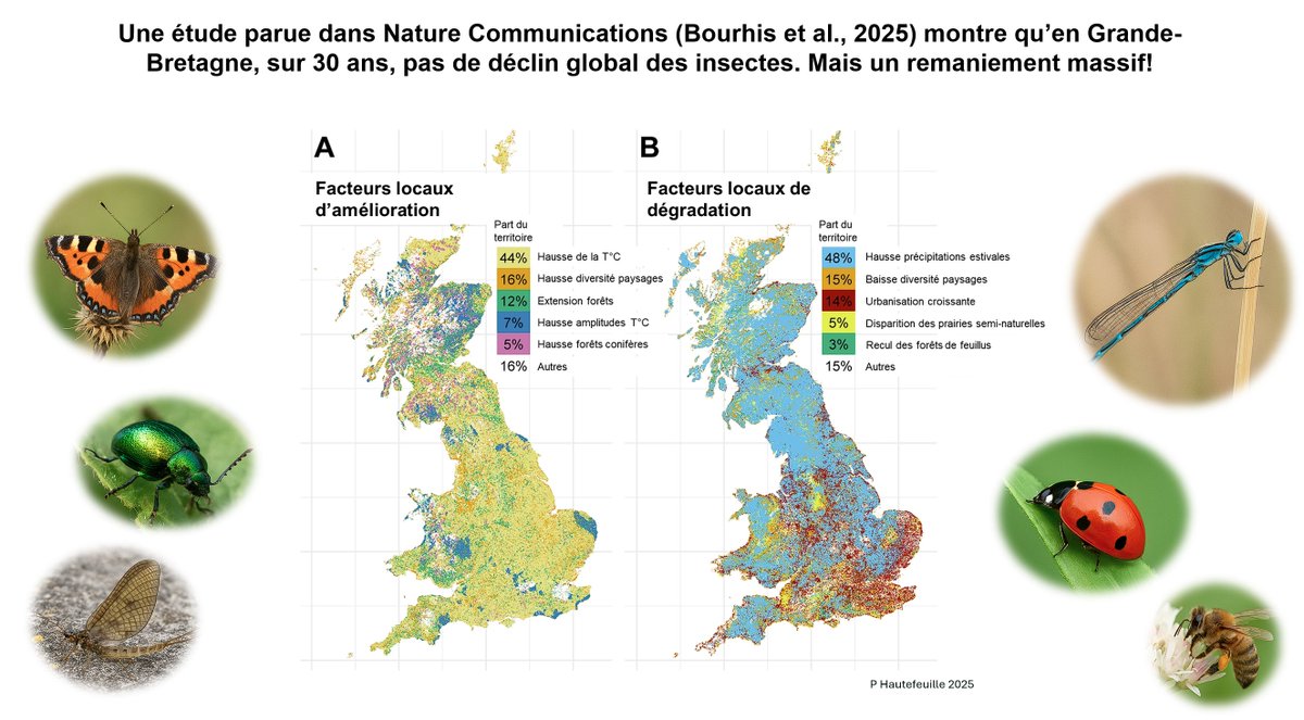 🐝 Non, les insectes ne disparaissent pas. Ils se réorganisent.
Une étude anglaise sur 30 ans (Nature Communications, 2025) montre :
🔺 des gagnants (espèces à plusieurs générations/an)
🔻 des perdants (spécialistes, zones urbanisées)

nature.com/articles/s4146…