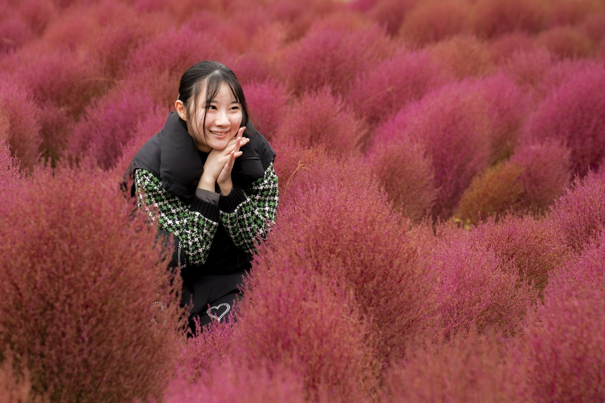 あ 氏 « プロフ更新 » Dolphin2 on X