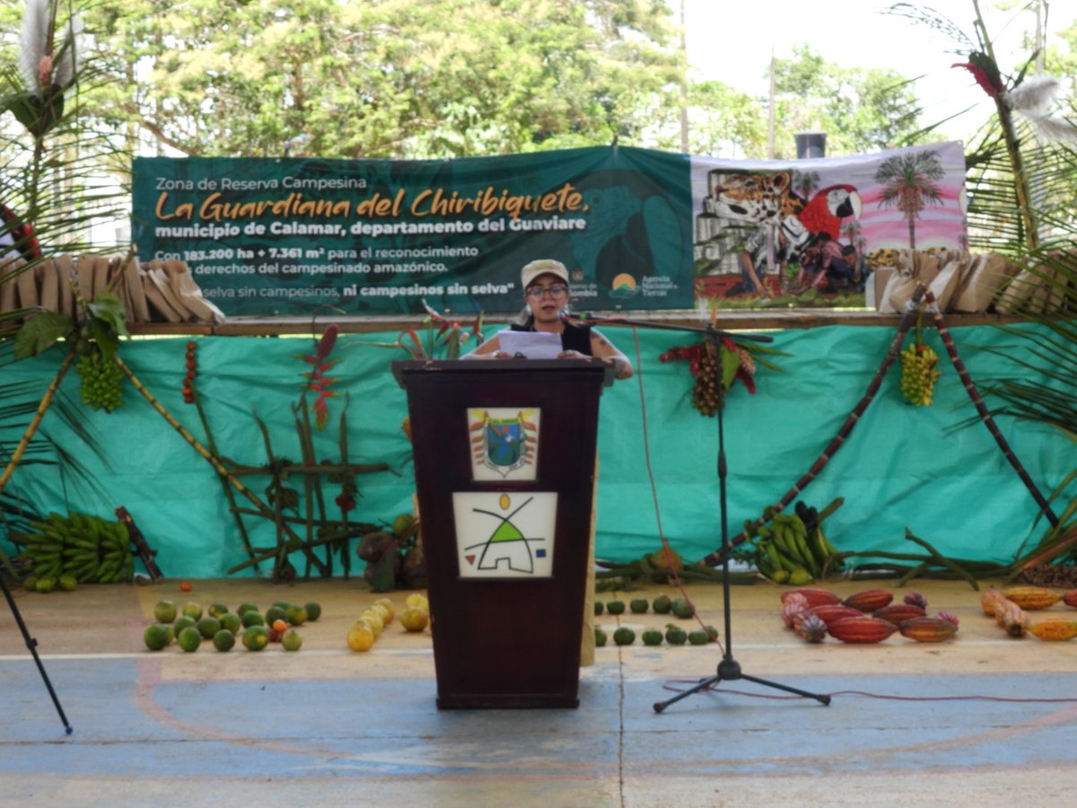 Cealdes - Centro de Alternativas al Desarrollo tweet media