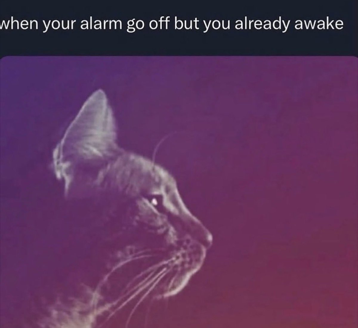 moristiko's tweet image. 