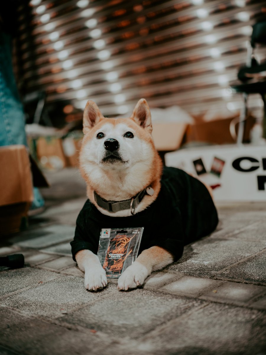 なるちゃん なるちゃん (@narunaru1024) / Posts / X