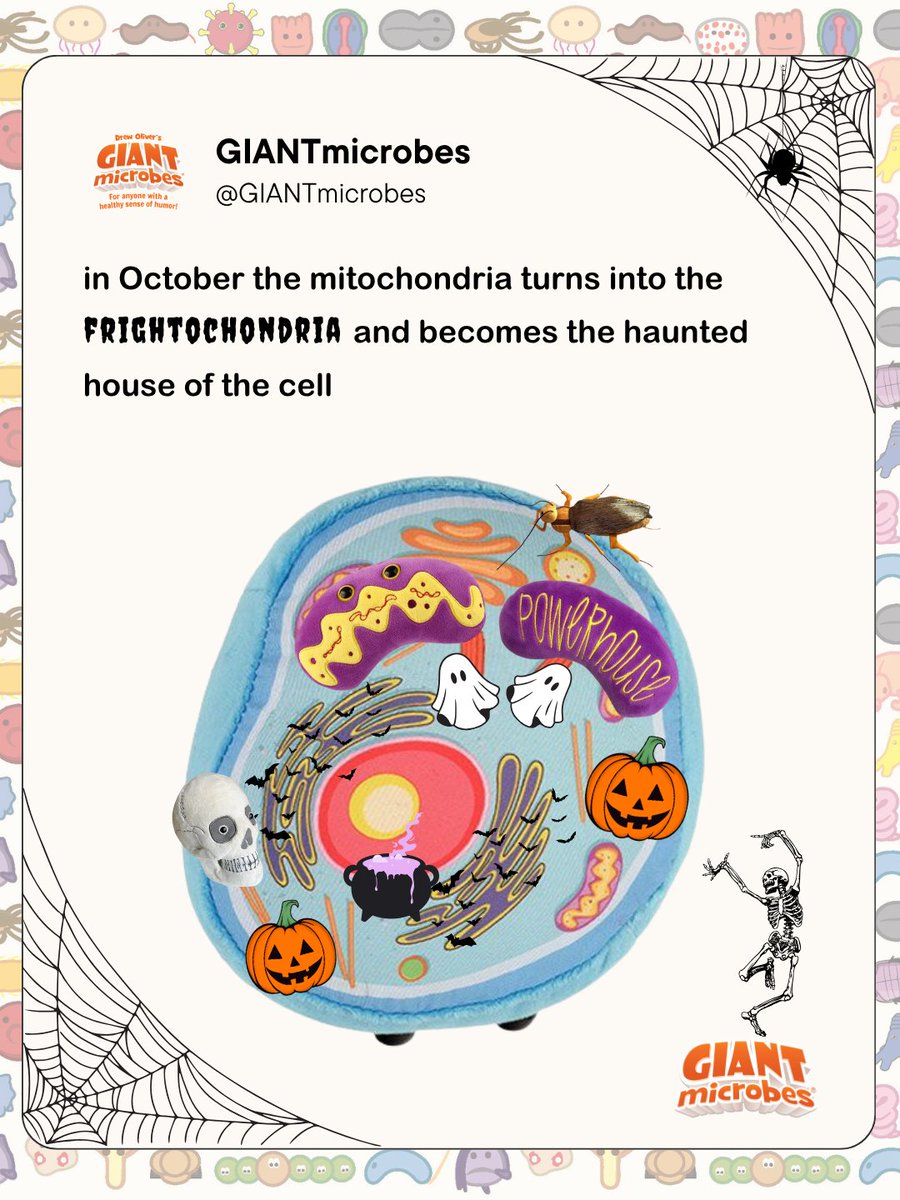 In October, the mitochondria takes a spooky turn… it’s the FRIGHTOCHONDRIA 💀⚡️
Shop cell biology  here: giantmicrobes.com/us/main/cell-b…
#Frightochondria #Mitochondria #ScienceHumor #STEMFun #GIANTmicrobes #HalloweenScience #SpookySeason #BiologyJokes #Halloween #CellBiology
