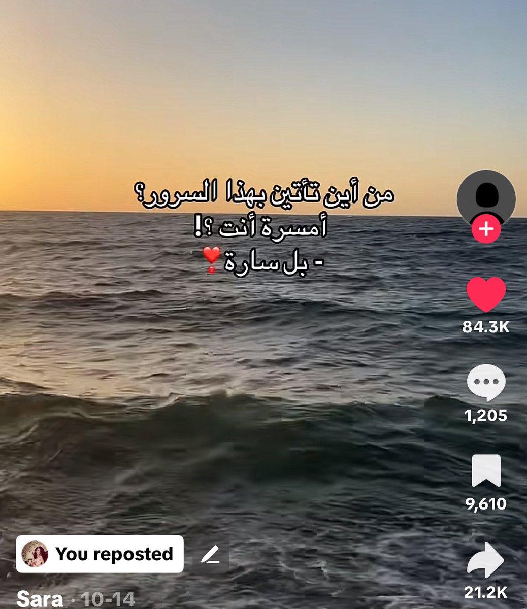 ساره tweet media