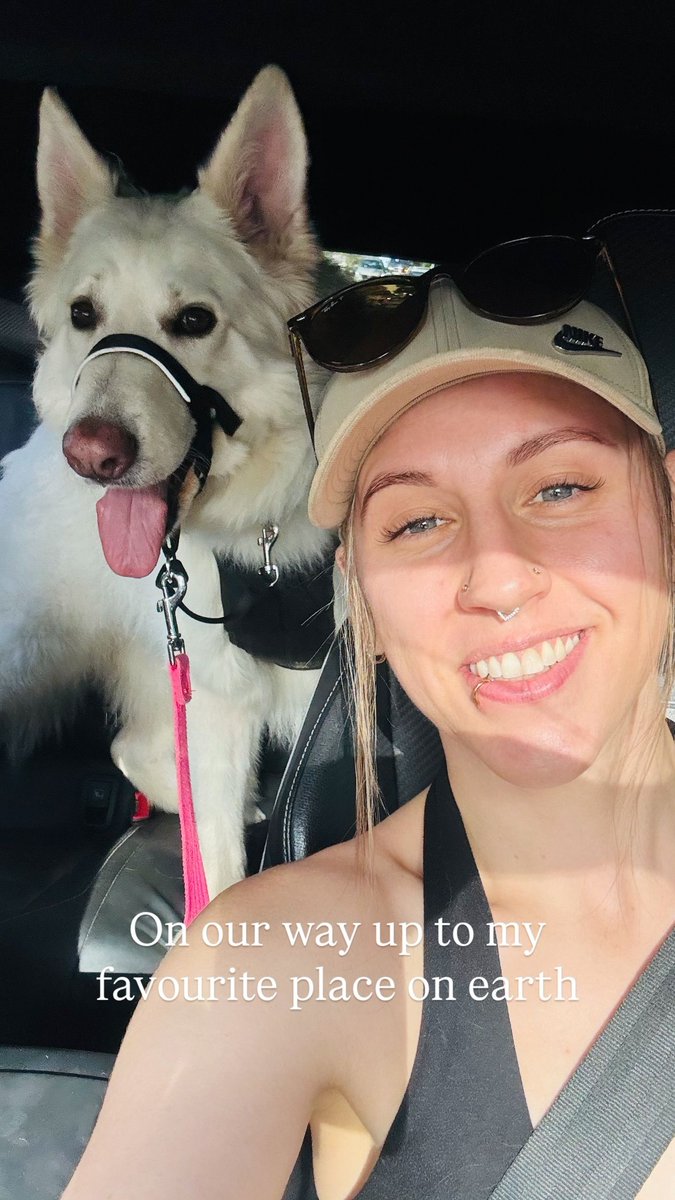 Scott Warren tweet media