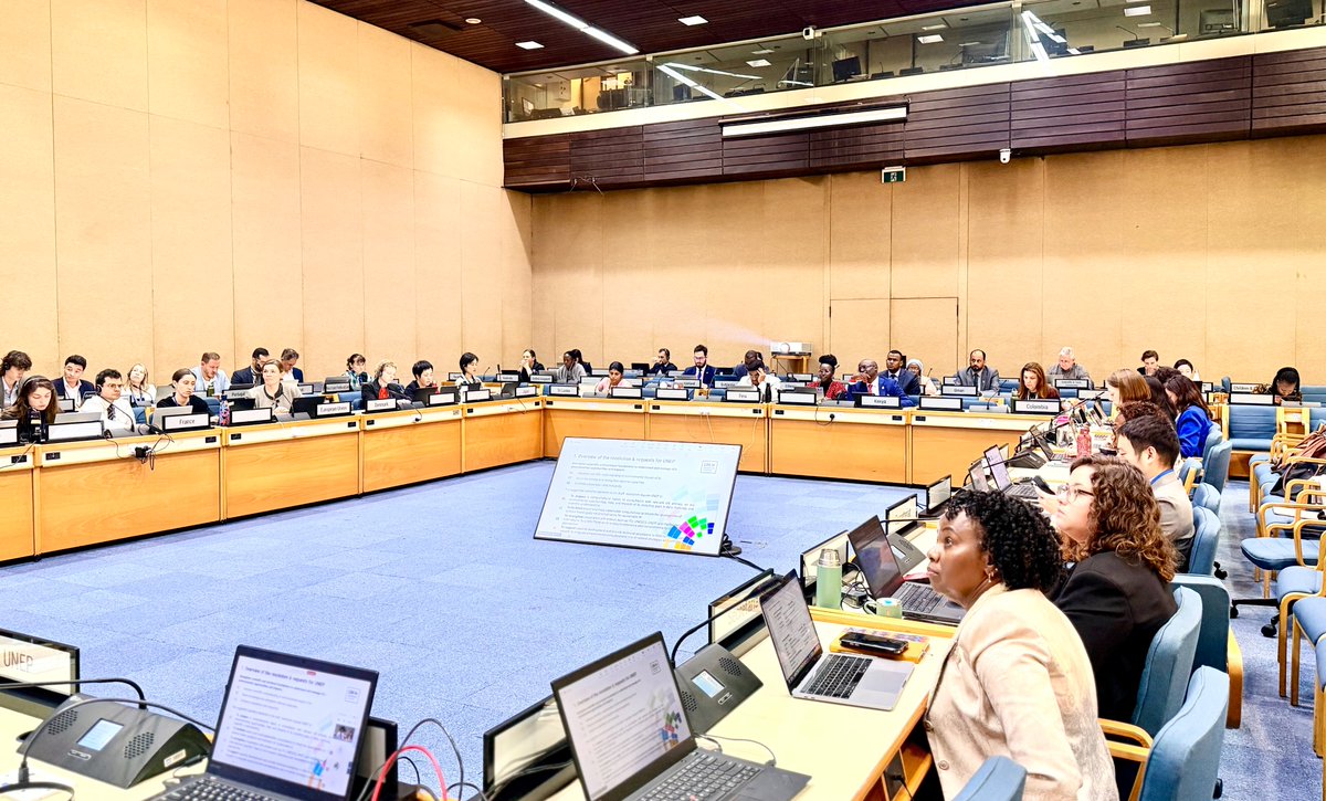 𝗔 𝗛𝗶𝘀𝘁𝗼𝗿𝗶𝗰 𝗠𝗶𝗹𝗲𝘀𝘁𝗼𝗻𝗲 𝗳𝗼𝗿 𝗔𝗜 𝗮𝗻𝗱 𝘁𝗵𝗲 𝗘𝗻𝘃𝗶𝗿𝗼𝗻𝗺𝗲𝗻𝘁

𝖸𝖾𝗌𝗍𝖾𝗋𝖽𝖺𝗒, 𝖨 𝗁𝖺𝖽 𝗍𝗁𝖾 𝗁𝗈𝗇𝗈𝗋 𝗈𝖿 𝗅𝖾𝖺𝖽𝗂𝗇𝗀 𝖪𝖾𝗇𝗒𝖺'𝗌 𝗉𝗋𝖾𝗌𝖾𝗇𝗍𝖺𝗍𝗂𝗈𝗇 𝖿𝗈𝗋 𝗍𝗁𝖾 𝖿𝗂𝗋𝗌𝗍 𝗍𝗂𝗆𝖾 𝖺𝗍 𝖴𝖭𝖤𝖯, 𝗍𝗁𝖾 𝖽𝗋𝖺𝖿𝗍