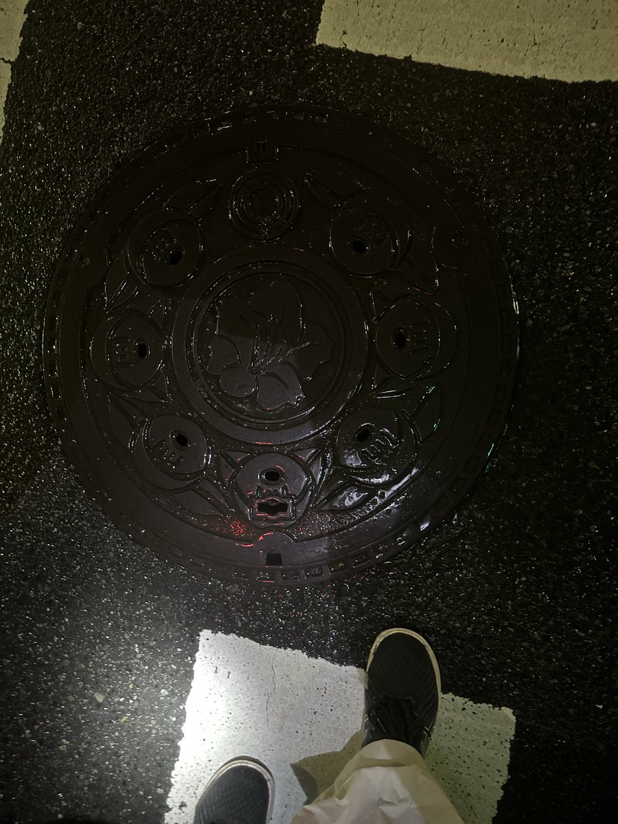 dangotayako's tweet image. 鈴ヶ森CP
マンホールたぶん川崎市
コーラ！どらやき！スープ
あと15キロなんだけど雨なんだよーー
☂️
#TXW100
#XW 
#東京エクストリームウォーク100