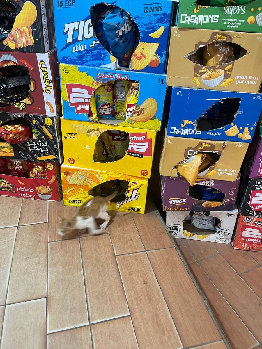 كتير بسمع عن الهروب الاضطراري لكن اول مرة اشوفه