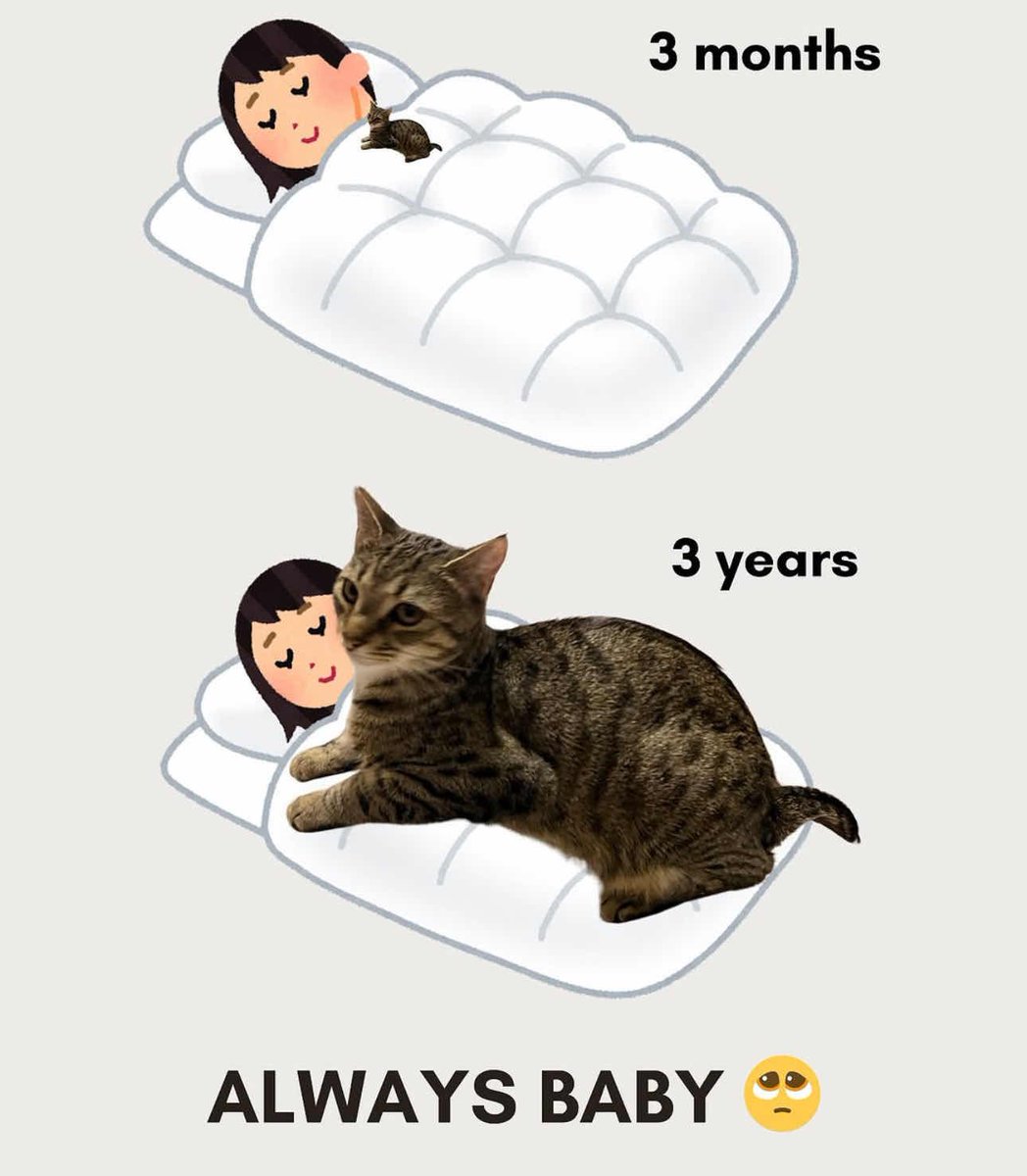 Miaw's tweet image. always baby