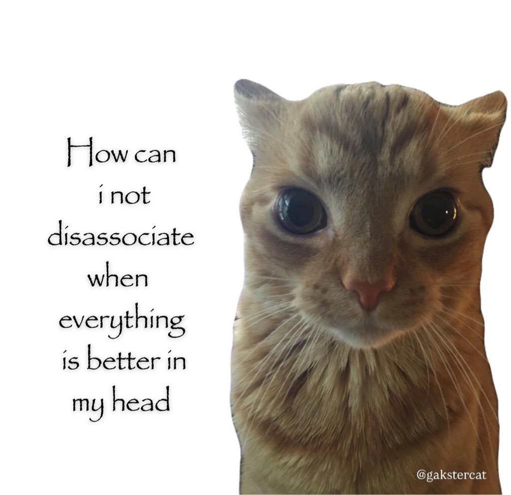 gakstercat's tweet image. 