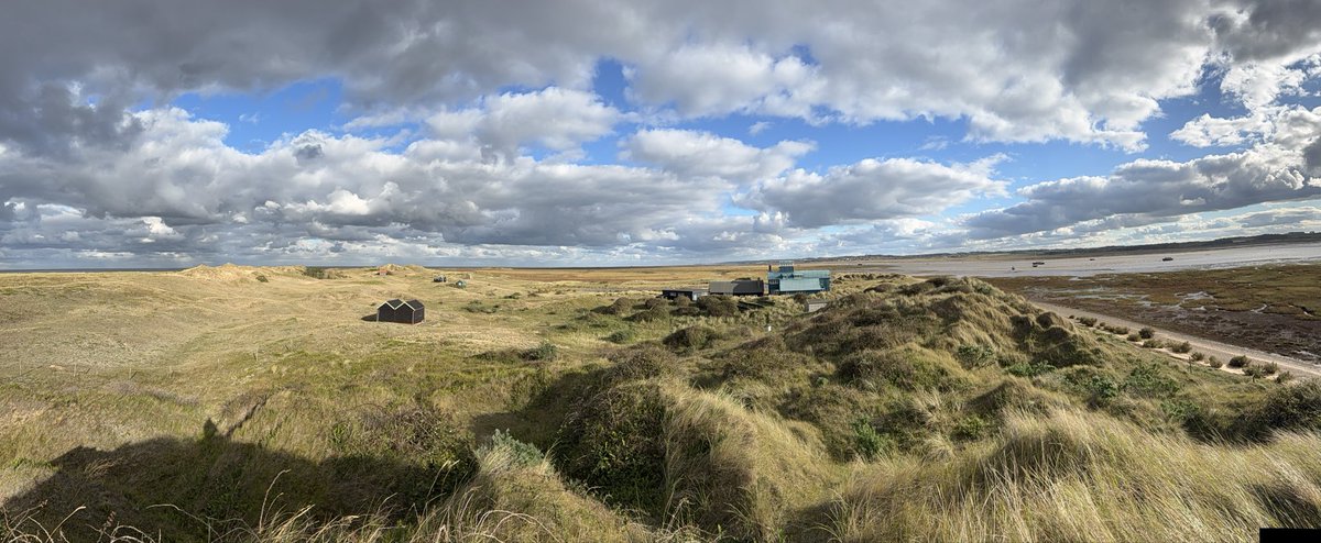 Stefan McElwee tweet media