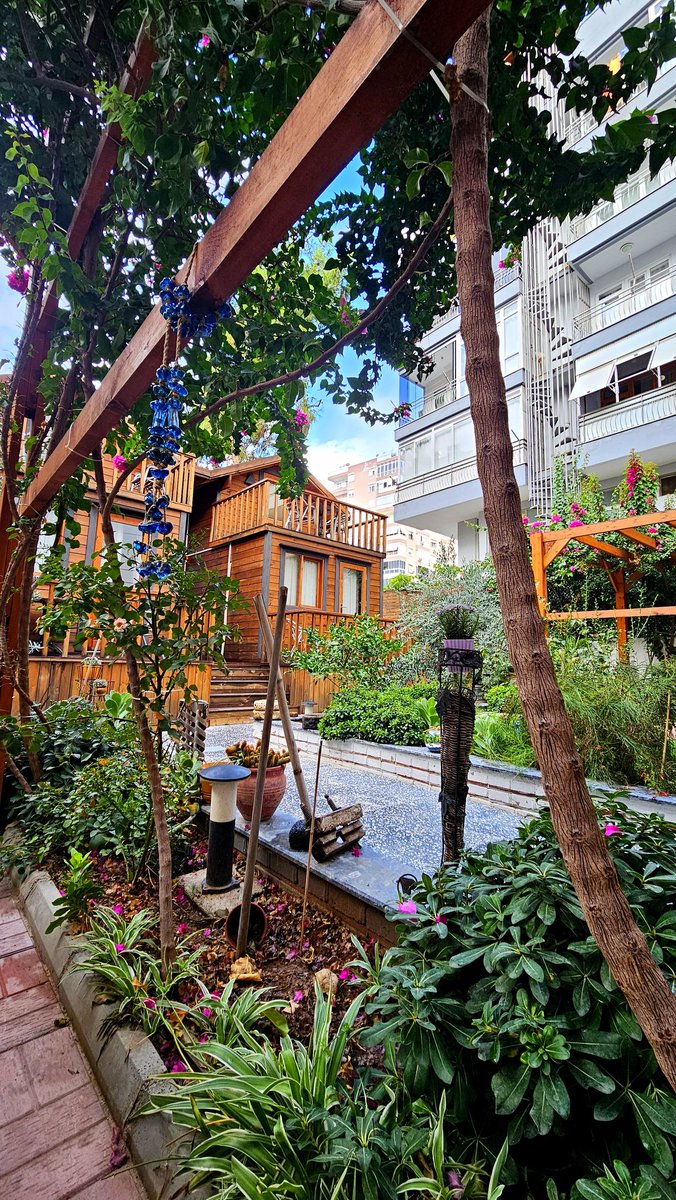 k_omn's tweet image. 