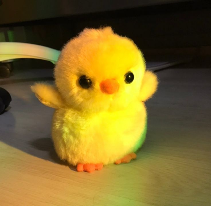 cdoll's tweet image.