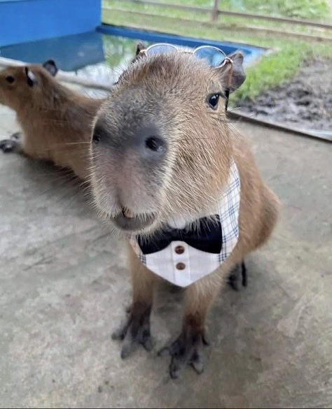 They’re getting married