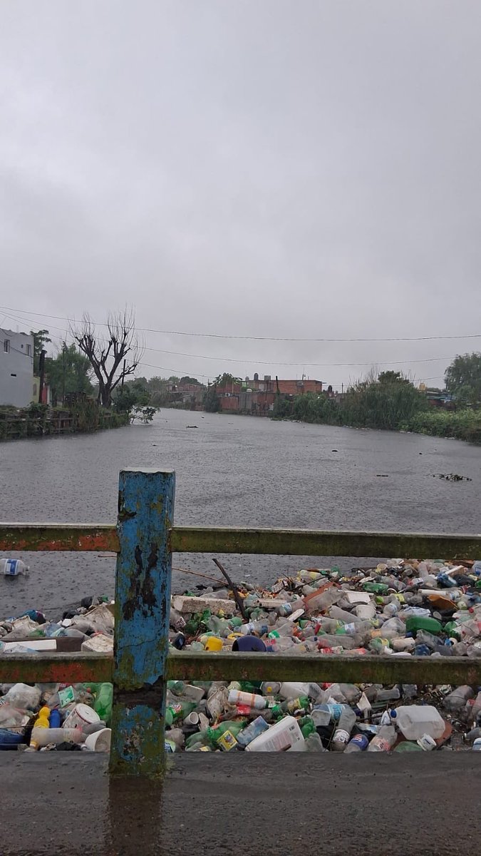 Pregonero tweet media