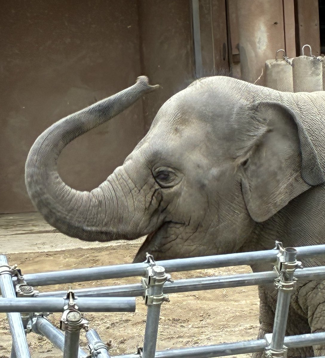 きょうちゃん on X